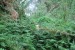 resized_DSC_0277