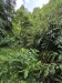 resized_DSC_0278