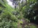 resized_DSC_0281