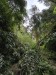 resized_DSC_0282