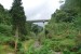 resized_DSC_0312
