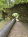 resized_DSC_0319
