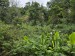 resized_DSC_0320