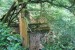 resized_DSC_0323