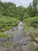 resized_DSC_0323_1