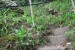 resized_DSC_0325