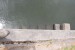 resized_DSC_0329