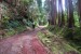 resized_DSC_0335
