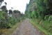 resized_DSC_0340
