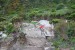 resized_DSC_0354_1