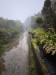 resized_DSC_0356_11