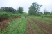 resized_DSC_0358