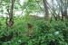 resized_DSC_0382