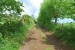 resized_DSC_0390