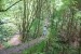 resized_DSC_0397