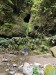 resized_DSC_0405