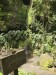 resized_DSC_0406