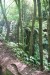 resized_DSC_0407