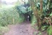 resized_DSC_0408_1
