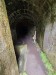 resized_DSC_0409_2
