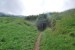 resized_DSC_0433