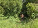 resized_DSC_0442