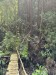 resized_DSC_0443_1