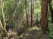 resized_DSC_0445