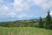 resized_DSC_0447