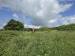 resized_DSC_0448