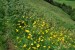 resized_DSC_0450