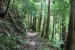 resized_DSC_0453