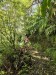 resized_DSC_0454