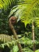resized_DSC_0456