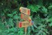 resized_DSC_0459