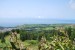 resized_DSC_0461