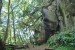 resized_DSC_0473