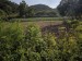 resized_DSC_0493_1