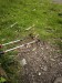 resized_DSC_0496_1