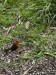 resized_DSC_0496_2