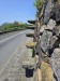 resized_DSC_0506