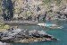 resized_DSC_0517