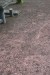 resized_DSC_0554