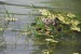 resized_DSC_0566