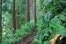 resized_DSC_0577