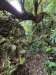 resized_DSC_0578