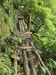 resized_DSC_0578_1