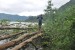 resized_DSC_0581