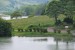 resized_DSC_0592