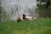 resized_DSC_0596